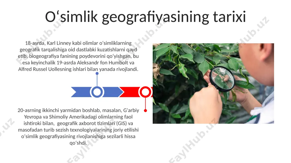 oʻsimliklarni geografiyasi asoslari - Page 3