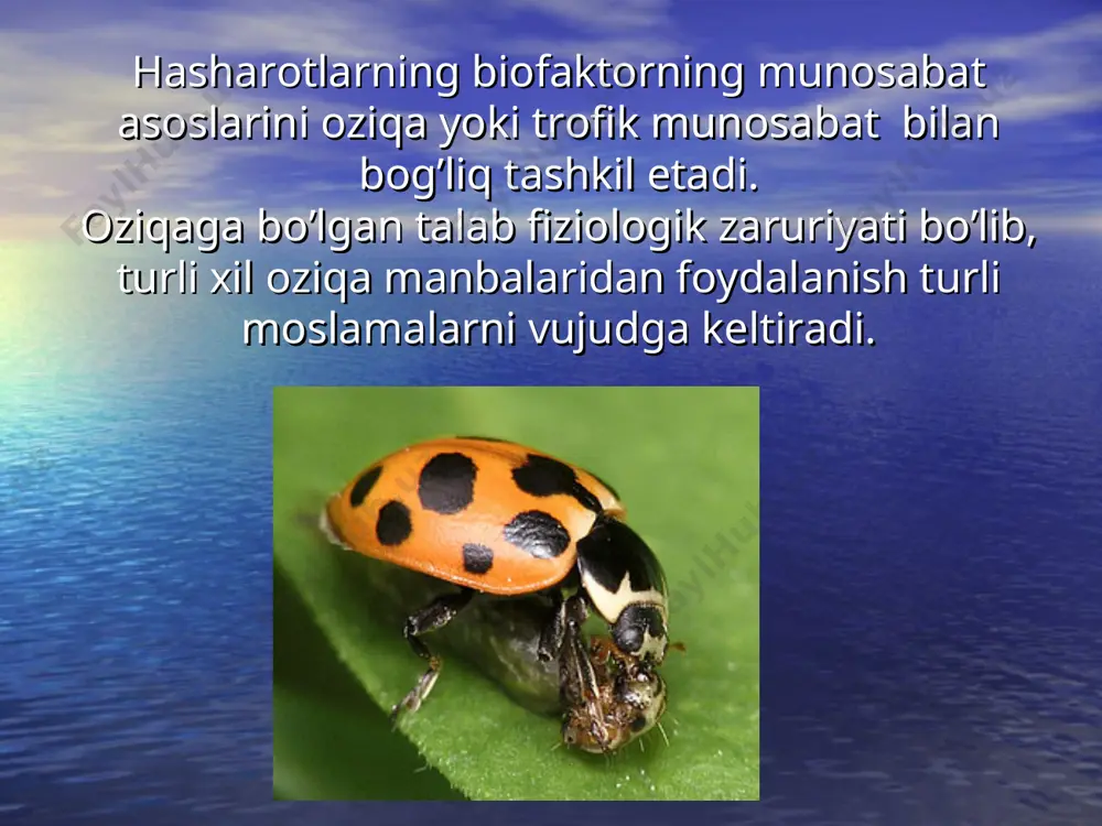 tayyorgarlik bilan zararlash.bularga hasharot lichinkalari o’simlik tana,novda shoxlari,mevalari va barglarida to’qimalarning ovqatlanishi natijasida buzilishdan hosil bo’lgan tuganak shishachalariga aytiladi. e`tiboringiz uchun rahmat