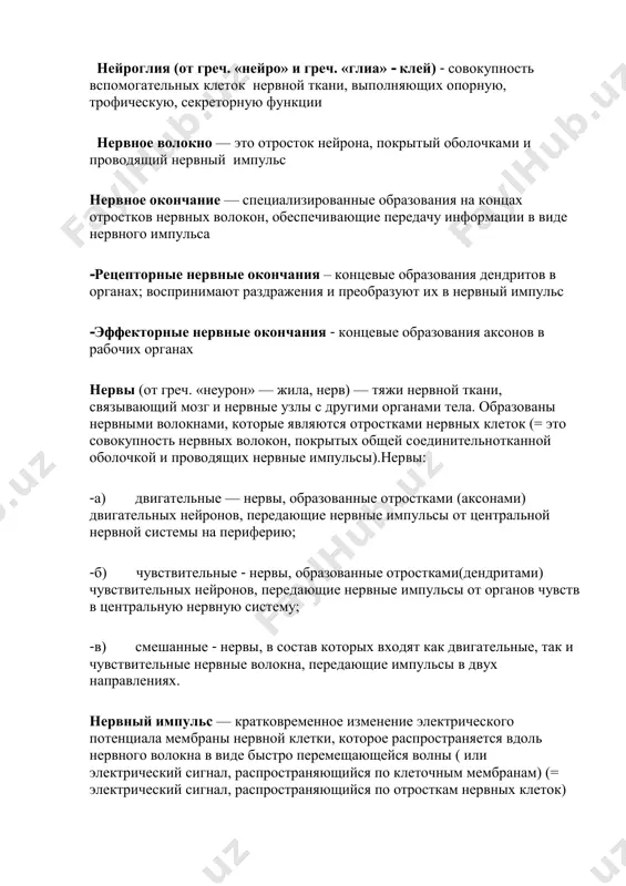 информации в виде нервного импульса -рецепторные нервные окончания – концевые образования дендритов в органах; воспринимают раздражения и преобразуют их в нервный импульс -эффекторные нервные окончания - концевые образования аксонов в рабочих органах нервы (от греч. «неурон» — жила, нерв) — тяжи нервной ткани, связывающий мозг и нервные узлы с другими органами тела. образованы нервными волокнами, которые являются отростками нервных клеток (= это совокупность нервных волокон, покрытых общей соединительнотканной оболочкой и проводящих нервные импульсы).нервы: -а) двигательные — нервы, образованные отростками (аксонами) двигательных нейронов, передающие нервные импульсы от центральной нервной системы на периферию; -б) чувствительные - нервы, образованные отростками(дендритами) чувствительных нейронов, передающие нервные импульсы от органов чувств в центральную нервную систему; -в) смешанные - нервы, в состав которых входят как двигательные, так и чувствительные нервные волокна, передающие импульсы в двух направлениях. нервный импульс — кратковременное изменение электрического потенциала мембраны нервной клетки, которое распространяется вдоль нервного волокна в виде быстро перемещающейся волны ( …