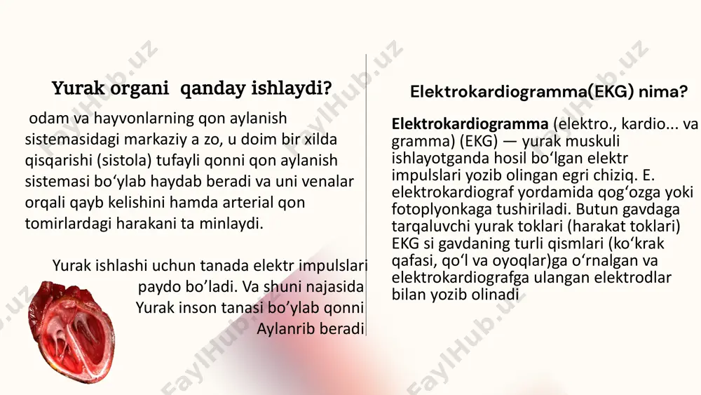 yo'q qilish uchun tarmoqli filtrlash qo'llaniladi. tarmoqli ekg filtri 5 hz pastroq kesish chastotasiga va 40 hz yuqori to‘lqin uzunligiga ega. qrs kompleksini aniqlash qrs kompleksi ekg signalining eng muhim elementi. bunday qrs kompleksi uchun qrs kompleksining boshlanishi va tugashi, shuningdek, p va t to'lqin shakllari aniqlanadi. aksariyat qrs tanib olish algoritmlari, asosan, chegara qiymatiga asoslangan o'rtacha ko'rsatkichdan keyingi filtrlash bosqichiga asoslanadi. ushbu chegara fon va qrs kompleksini farqlash uchun ishlatiladi va ekg signalining yuqori pozitsiyasiga asoslanadi. mashinani o'rganishga asoslangan boshqa usullar qatoriga ma'lumotlarning uzilishidan kelib chiqadigan davriylikni aniqlashning kuchli usuli bo'lgan p-spektr usuli kiradi. signalni filtrlash ekg signallari statsionar edi, ya'ni rezonans chastotasi ma'lum vaqt oralig'ida o'zgarib turadi. shuningdek, ekg signalini ifloslantiruvchi shovqin va ob'ektlar vaqtga bog'liq bo'lgan ehtimollik zichligi bilan chiziqli bo'lmagan. vaqtni lokalizatsiya qilish an'anaviy furye o'zgartirish texnikasi bilan mumkin emas, lekin dwt bilan mumkin. natijada, dwt statsionar bo'lmagan signallar bilan ishlash qobiliyatiga ega [18]. birinchi qadam …
