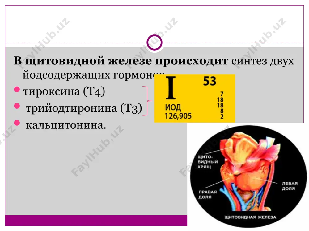 патология щитовидной железы - Page 3
