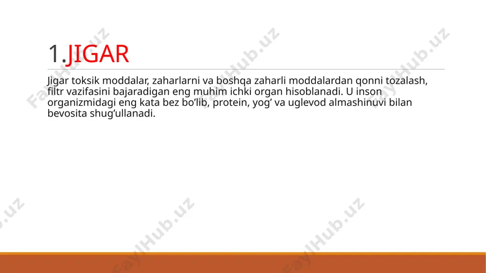 jigardan ajalib chiqib, o’t va limfa hosil bo’lishiga ketadi. jigar o’tni uzluksiz ishlab o’zining o’t yo’li orqali chiqaradi. o’n ikki barmoqli o’t kirish ovqatlanish vaqtida boshlanib, me’da ovqatdan bo’shagunicha davom etadi. boshqa ovqatda esa umumiy o’t yo’lining halqasimon muskuli qisqarib, shu yo’lning teshigini berkitib turadi. jigarda hosil bo’lgan o’t-o’t pufagiga kirgach, boshqa ba’zi moddalar o’t pufagi devoridan qonga o’tadi. jigar organizmdagi eng kata parenximator organ bo’lib, 300 mlrd jigar hujayralaridan tashkil topgan. bu hujayralarda 2000 turdagi fermentlar joylashgan bo’lib, ular organizmdagi hamma bioximik reaksiyalarda vositachi bo’lib organizmdagi hayotiy jarayonlarda ishtirok etadi. shuning uchun jigarni «organizmning kompleksli kimyo fabrikasi» deb atashadi. hozirgi vaqtda jigar jarrohligining muvaffaqiyatli rivojlanishi bilan jigarning segmentar tuzilishi haqidagi tushunchalar keng tarqalgan. segment — jigarning yaqqol, alohida o’z qon aylanishi innervatsiya, o’t va limfa yo’llariga ega bo’lgan sohasidir. bu jigarning shunday sohalarini qo’shni segmentlarga zarar yetkazmasdan jarrohlik yo’li bilan olib tashlashga yordam beradi. segment — faqat fazoviy tushunchagina …