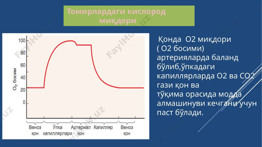 қон ва қон яратилиши - Page 4