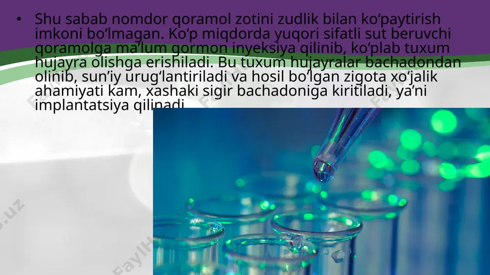 larini bilasiz? monoklonal antitanalar sintez qiluvchi gibridoma hujayralarining alohida klonlarini olish uchun gibridoma hujayralarini qanday ko‘paytirasiz? monoklonal antitananing qanday ahamiyati bor? image2.jpeg image3.jpeg image4.jpeg image5.jpeg image6.jpeg image7.png image8.jpeg image9.jpeg image10.jpeg image11.jpeg image12.png image1.jpeg