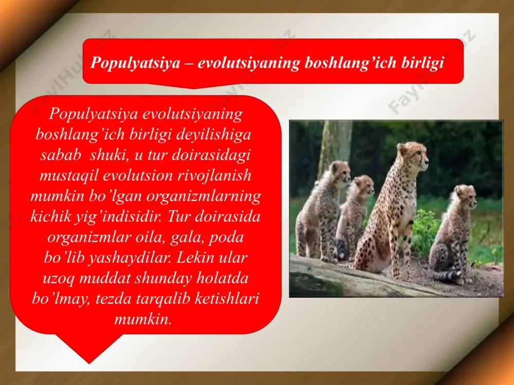 evolutsiyaning sintetik nazariyasi - Page 3