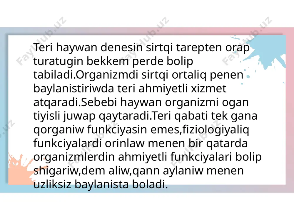 ylap turadi. 7 ter bezleri-glandulae sudoriferae duzilisi boyinsha apiwayi truba tarizli bezlerge uqsaydi.olar teri qabatinin barliq jerinde ushirasadi ham dermanin teren qabatinda jaylasadi.ter-subor shashti ham teri epidermisin igallap,oni kewip ketiwden saqlaydi. sut bezleri-glandulae lactiferae.sut emiziwshilerde jaqsi rrawasubern.sut bezi jelinnin kollemi har qiyli haywanlarda har qiyli. 8 text here text here text here text here text here text here text here text here dem aliw organlari sirtqi ortaliq penen organizm ortasindagi gazler almasiniwin taminlep turadi.dem aliw organlari da basqa organlar siyaqli qann aylaniw,as siniriw ham nerv sistemasi menen baylanisli. 9 okpe-pulmones jup organ bolip,dem aliw organlari tiykari esaplanadi ham onda dem aliw hawasi menen qan ortasinda gazler almasiniw jagdayi juz beredi. 10 murin-nasus dem aliw organlarinin baslangish bolegi esaplanip,onin joqargi bolegi,jan diywallari,tiykargi bolegi ham ushi pariqlanadi.murinnin tiykargi bolegi-radex nasi murin menen manglay shegarasinda jaylasadi. kegirdek-trachea may formasindagi organ borga.arnawli sinirler kegirdekti hardayim ashiq turiw imkanin beredi.qaramallarda bul sinirdin sani 48-50 boladi. …