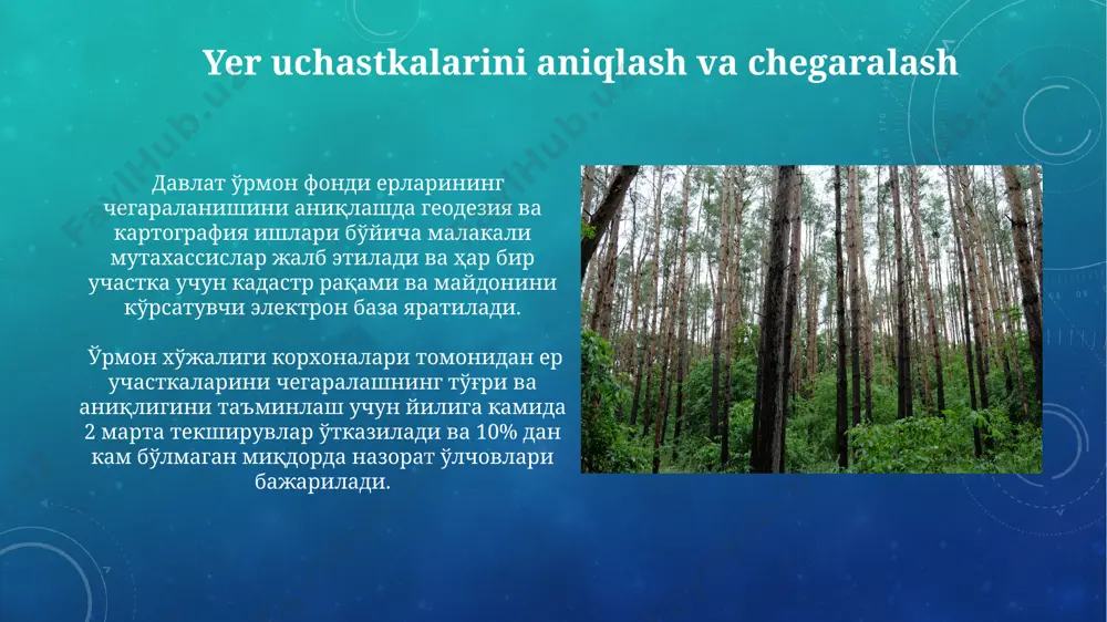 davlat oʻrmon kadastri yuritish tartibi - Page 5