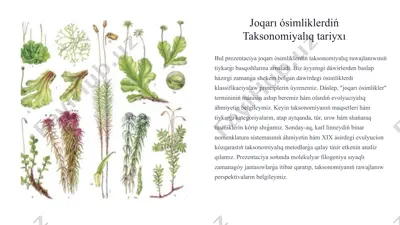 joqarı ósimliklerdiń taksonomiyalıq tariyxı — PPTX