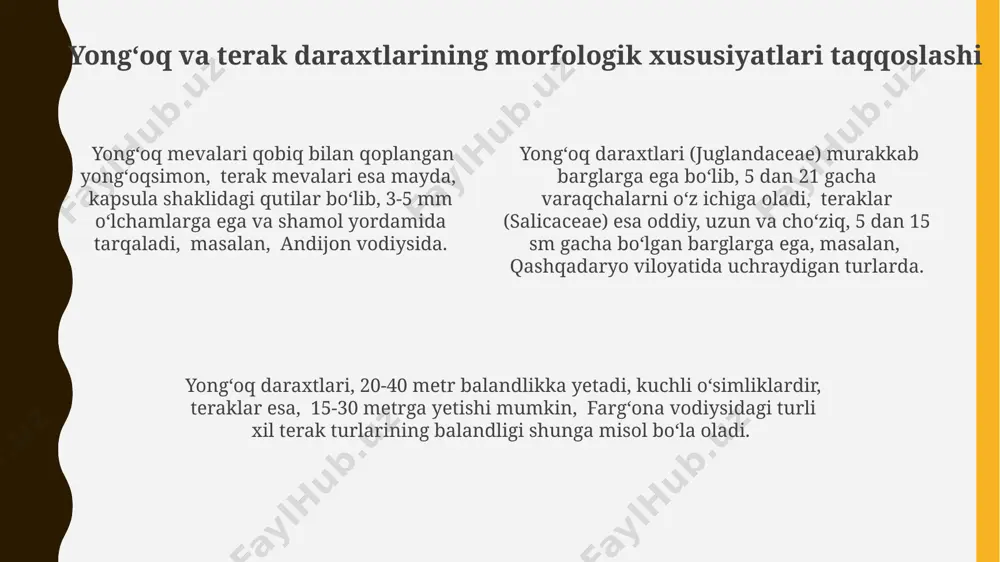 va oʻrta osiyo mintaqasida, ayniqsa fargʻona vodiysida keng tarqalgan. yongʻoq va teraklarning ikkalasi ham toʻliq quyosh nurini talab qiladi, ammo teraklar 20-30°c oraligʻidagi haroratga chidamliroq boʻlib, janubiy qozogʻiston kabi issiq iqlim sharoitlarida ham oʻsa oladi. teraklar, juglandaceae oilasidan farqli oʻlaroq, turli xil tuproqlarga moslasha oladi, lekin 1000 mm dan ortiq yillik yogʻin-sochin miqdori boʻlgan hududlarda yaxshi oʻsadi, masalan, andijon viloyatida. terakdoshlar oilasi (salicaceae) umumiy xususiyatlari populus (terak) turkumiga mansub ba'zi turlari, masalan, populus nigra (qora terak), 30 metr balandlikka yetgan holda, evropa va osiyoning ko'plab hududlarida keng tarqalgan. salix (tol) turkumiga kiruvchi o'simliklarning barglari odatda cho'zinchoq, navbatma-navbat joylashgan va 5 dan 15 sm gacha uzunlikda bo'ladi. ularning ko'pchiligi ikki uyli o'simliklar hisoblanadi. salicaceae oilasiga mansub 400 dan ortiq turdagi daraxt va butalar mavjud bo'lib, ularning ko'pchiligi shimoliy yarim sharning mo''tadil va sovuq mintaqalarida, jumladan, markaziy osiyo tog'li hududlarida tarqalgan. yongʻoqdoshlar oilasining geografik tarqalishi yongʻoqdoshlar oilasi (juglandaceae)ning 60 ga yaqin turi …