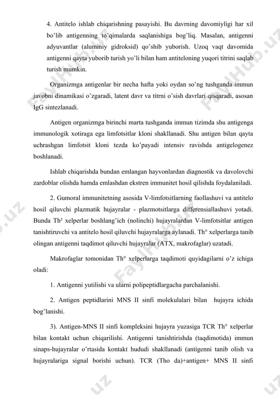 oladi. bunda bitta limfotsitning tsr bitta bitta antigenni tanib olishi mumkin. th° xelper th² xelperga aylanadi. so’ngra th² xelper v-limfotsitlar bilan o’zaro ta’sirlashadi. β limfotsitlarni vsr (immunnoglobulinli retseptor) yordamida tanib oladi va hujayra uni yutadi. antigen quyi molekular peptidgacha parchalangach va mns ii sinfiga birikkach v-limfotsit bu kompleksni (antigen+mns ii sinfi) th² xelperga taqdim etadi. th² xelper tsr va sd4 orqali bu kompleks bilan ta’sirlashadi. immun sinaps: tsr (th² da)+antigen+mns ii sinfi (v- limfotsitda) +koretseptor sd4 (th² da) dan iborat bo’ladi. so’ngra th² yuzasida sd40 ligand paydo bo’ladi va v-limfotsitning sd40 retseptori bilan bog’lanadi. shundan keyin proliferatsiya va har xil sinfdagi immunoglobulinlarni sintezlovchi plazmotsitlarning differensiallashuvi amalga oshadi. β-limfotsitlar prolliferatsiyasi va th² da ishlab chiqariladigan interleykin-3 (il-3) ta’sirida kuchayadi. plazmotsitlar bitta maxsus antitelolarni sintezlaydi. xosil bo’lgan antitelolar ularning shakllanishini chaqirgan antigen bilan bog’lanadi va antigen+antitelo kompleksi paydo bo’ladi. bu kompleks komplement yordamida parchalanadi yoki mikrofaglar tomonidan yutiladi va hazm qilinadi (immun …