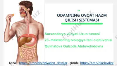 odamning ovqat hazm qilish sistemasi — PPTX