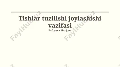 tishlar tuzilishi joylashishi vazifasi — PPTX