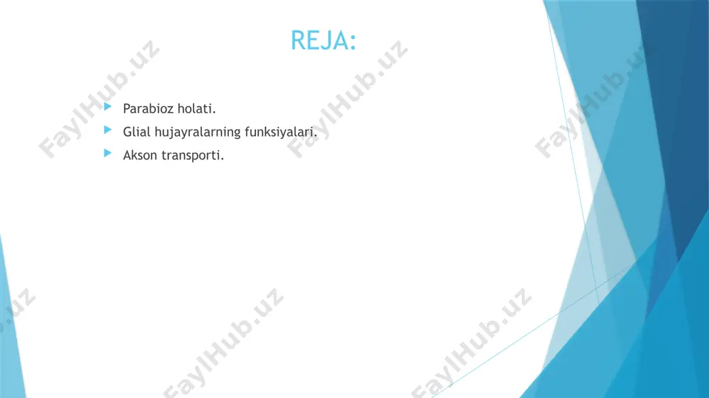 parabioz holati. glial hujayralarning funksiyalari. akson transporti. - Page 3