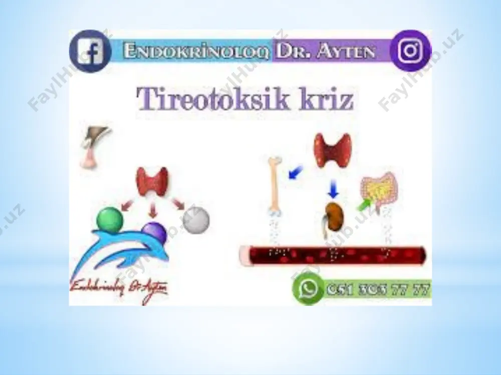 tireotoksik kriz endokrinologiya - Page 5