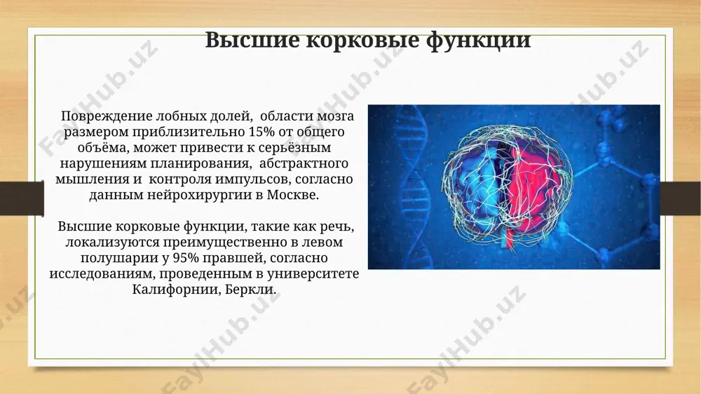 даров в минуту), и парасимпатической, замедляющей процессы (снижение частоты сердечных сокращений до 60-80 ударов в минуту в состоянии покоя), взаимодействующих в разных частях тела, например, в желудочно-кишечном тракте моторные функции точность моторных функций обеспечивается сложной системой обратной связи, включающей проприоцептивные рецепторы (более 100 различных типов), расположенные в мышцах и суставах, передающие информацию в мозжечок для коррекции движений. более 90% всех мотонейронов расположены в передних рогах спинного мозга, контролируя произвольные движения мышц конечностей и туловища, а их повреждение в шейном отделе, например, может привести к тетраплегии. спасибо за внимание @taqdimot_robot image7.jpg image8.jpg image9.jpg image10.jpg image11.jpg image12.jpg image13.jpg image14.jpg image15.jpg image16.jpg image17.jpg image18.jpg image19.jpg image3.png image4.png