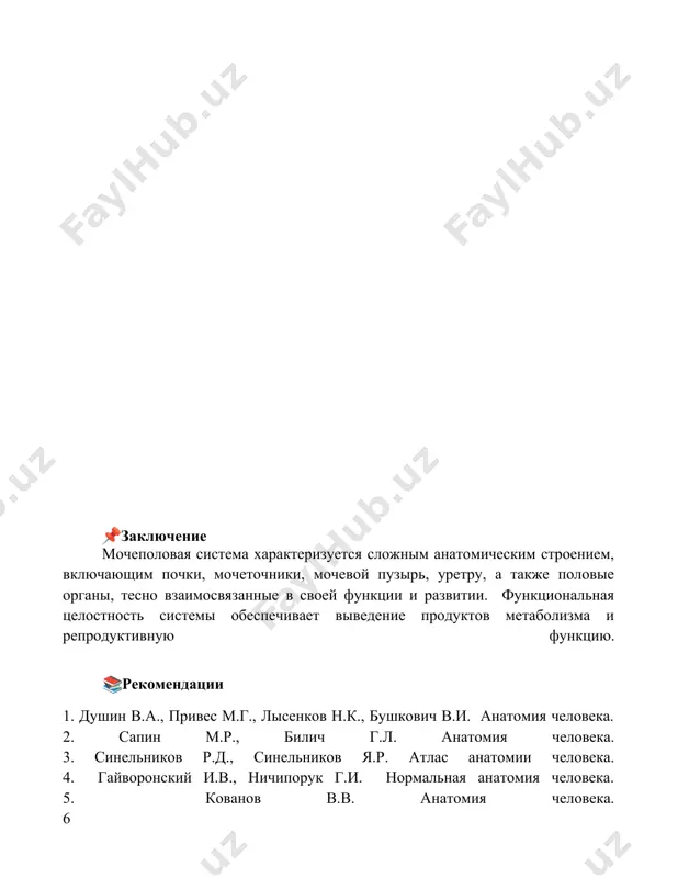 строение мочеполовых органов - Page 5