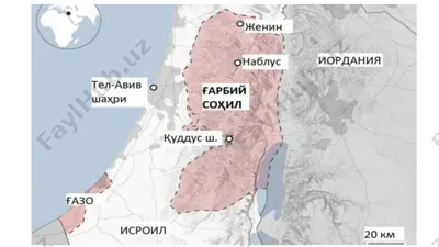 falastin — PPTX