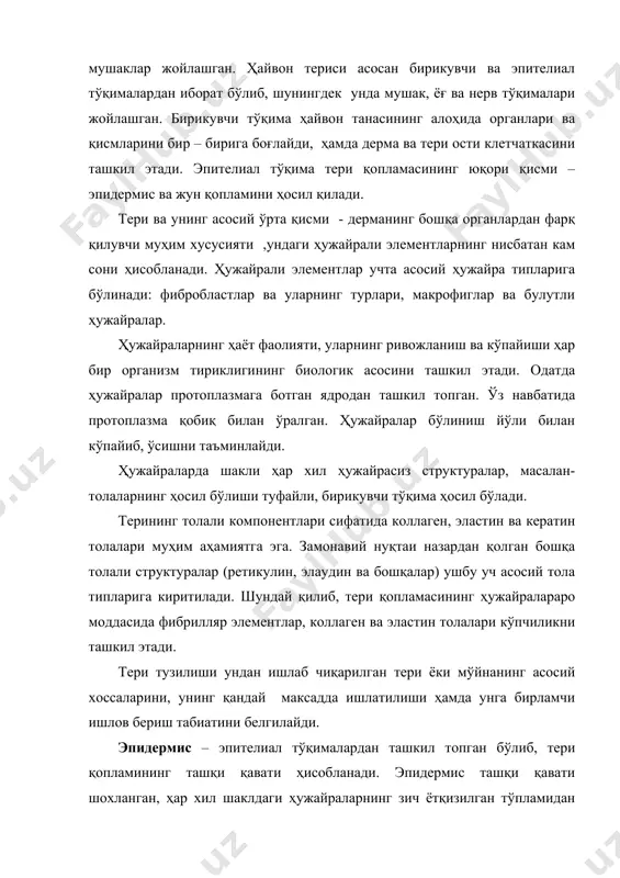 % ни ташкил қилади. одатда эпидермисда иккита қаватга: ички (нишли ёки малпигий) ва ташқи (шохланган ёки ташқи) қаватларга ажратилади. ички қават бевосита дермага туташган бўлиб, асосан тирик ҳужайралардан ташкил топган. ҳужайраларнинг шакли ва ҳолатига қараб уни уч қисмга: асосий (ҳақиқий нишли ёки базал), қилтиқсимон (тўрли) ва донли қаватларга бўлиш мумкин. асосий қаватда ҳосил бўлган ҳар бир ҳужайра ўсиш ва қариш жараёнида, ўзининг цилиндрсимон шаклини аста –секин ўзгартириб, қилтиқсимонга айланади, унда дончалар пайдо бўлади. сўнгра эзилган ҳолатга ўтиб, секин аста шохланади. ҳужайралар ушбу метаболик ўзгаришлардан ҳар хил тезлик билан ўтадилар, шунинг учун ҳар хил қаватларнинг ҳужайралари бир вақтда ҳосил бўлиши мумкин. эпидермиснинг асосий қавати (ҳақиқий нишли) остида, кўп қиррали ҳужайралар қаторидан ташкил топган қилтиқсимон қават жойлашган. бу ҳужайралар ўзаро протоплазматик кўприклар билан боғланган. ушбу ҳужайраларда ҳали шохланиш белгилари йўқ, аммо улар бўлиниш қобилиятига эга эмас. қилтиқсимон қават остида янада юпқароқ, икки – уч қатор кўп қиррали эзилган ҳужайралардан ташкил топган донли …