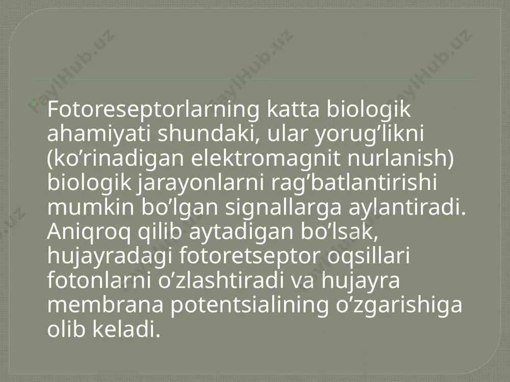fotoretsepsiyaning morfologik asoslari - Page 5