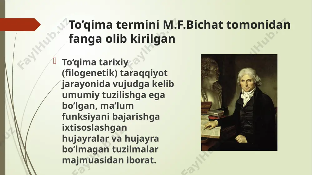 ndirsimon o`zgaruvchan yassi muguzlanmaydigan yassi muguzlanadigan morfofunksional klassifikatsiya epiteliy turlari mezoteliy seroz pardalar - plevra va qorin pardasining pariyetal va visseral varaqlarini, yurak oldi xaltachasi devorlarini qoplab turadi. mezoteliy yuzasi silliq bo`lnganligi sababli ichak peristaltikasida, yurakning qisqarishi o`pkaning nafas ekskursiyasida, organlarning sirpanma harakatlarida muhim rol o ‘ynaydi, hamda organlarning o ‘zaro yopishib qolmasligini ta’minlaydi. bir qavatli yassi epiteliy- mezoteliy 1 – mezoteliy hujayrasi chegarasi 2 – mezoteliy hujayrasi yadrosi bir qavatli bir qatorli yassi epiteliy bir qavatli kubsimon epiteliy buyrak kanalchalarida, bezlarning chiqaruv naylarida, kichik bronxlarda uchraydi. terminal bronxiolani qoplagan kubsimon hujayralarning apikal qismida kiprikchalar ko‘rinadi. buyrak kanalchalarining devorida joylashgan hujayralarning apikal qismida esa jiyak bo‘lib, u barmoqsimon o ‘simtalardan — mikrovorsinkalardan tuzilgan, ular so‘rilish yuzasini kengaytiradi 1 –siydik yig`uvchi naychaning ko`ndalang kesimi 2- kubsimon epiteliy hujayrasi 3- hujayra yadrosi bir qavatli bir qatorli kubsimon epiteliy bir qavatli silindirsimon epiteliy asosan hazm qilish, siydik ajratish va tanosil organlarida uchraydi; me’da, …