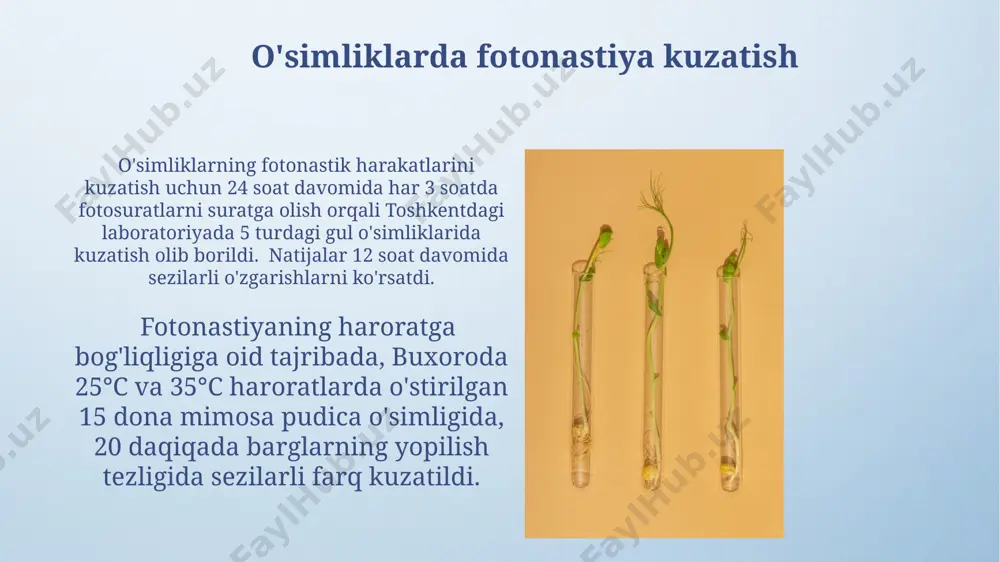 fotonastiya va fototropizm - Page 4