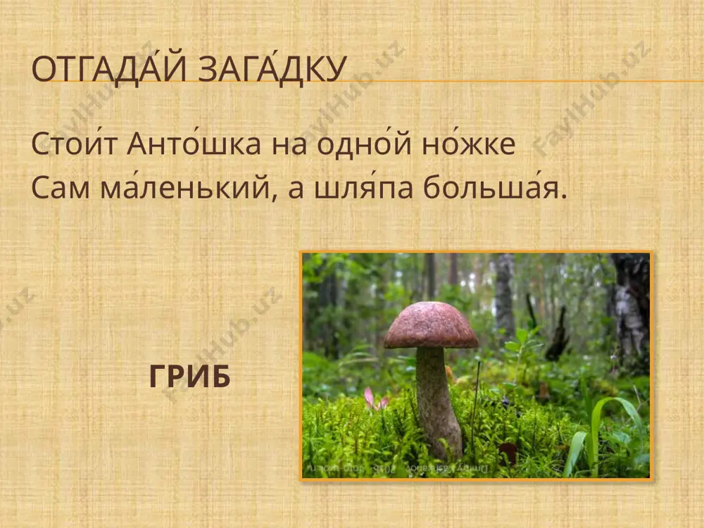 rasskaz «gribi» - Page 3