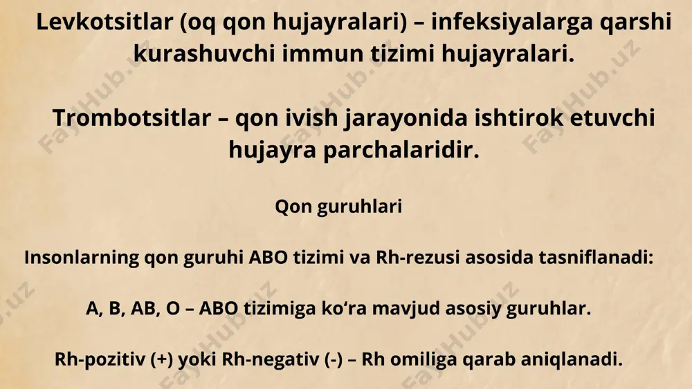 qon va lifa - Page 4