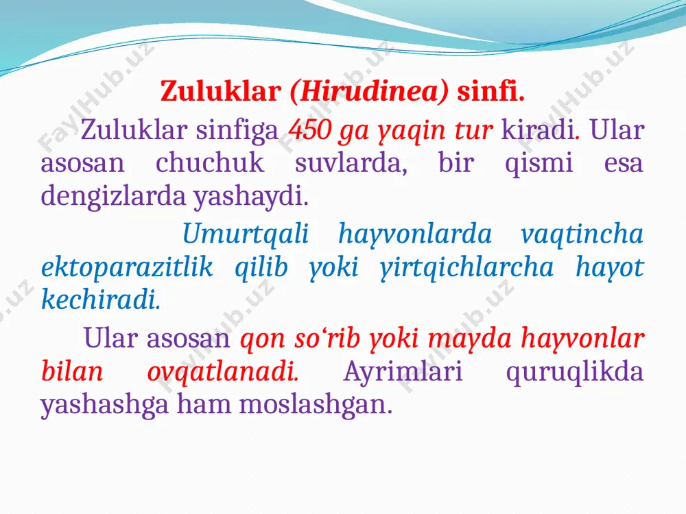 hobdella peledina shimoliy o‘lkalarda va sibir ko‘llarida, acanthobdella ivanovi esa karnchatka ko‘llarida baliqlarda parazitlik qiladi. . haqiqiy zuluklar kenja sinfi. xartumli zuluklar jag‘li zuluklar turkumlariga bo‘linadi. xartumli zuluklar (rhynchobdelida). bu turkumiga kiruvchilar xartumchaga aylangan tomog‘i bo‘lishi bilan xarakterlanadi. bu zuluklar turli hayvonlarga, ayniqsa, baliqlarga, qushlarga xartumi bilan yopishib, ulardan qon yoki tana suyuqligini so‘rib, ektoparazitlik bilan hayot kechiradi. odatdagi oddiy baliq zulugi-piscicola geometra deyarli har doim baliqlarda parazitlik qiladi. suv havzalarida ko‘pincha chig‘anoqli zuluk-klepsina (glossosiphonia complanata) uchraydi. xartumli zuluklarning ayrim turlari qushlarda parazitlik qiladi. 5 sm gacha keladigan bu zuluklar suvda suzuvchi qushlarning og‘iz bo‘shlig‘i va nafas yo‘llariga yopishib, qon so‘rib yashaydi. ayrim havzalarda ular g‘oz, o‘rdak va boshqa xonaki qushlarda parazitlik qilib, parrandachilik xo‘jaligiga katta zarar yetkazadi. ba’zi xartumli zuluklar toshbaqa, krab va hatto, odamlarda ham parazitlik qiladi. xartumli zuluklar 3 tadan 5 tagacha pilla qo‘yishi mumkin. bitta zuluk 65 tadan 611 tagacha tuxum qo‘yadi. jag‘li zuluklar (gnathobdella). bu …