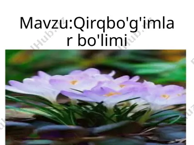 qirqbo'g'imlar bo'limi — PPTX