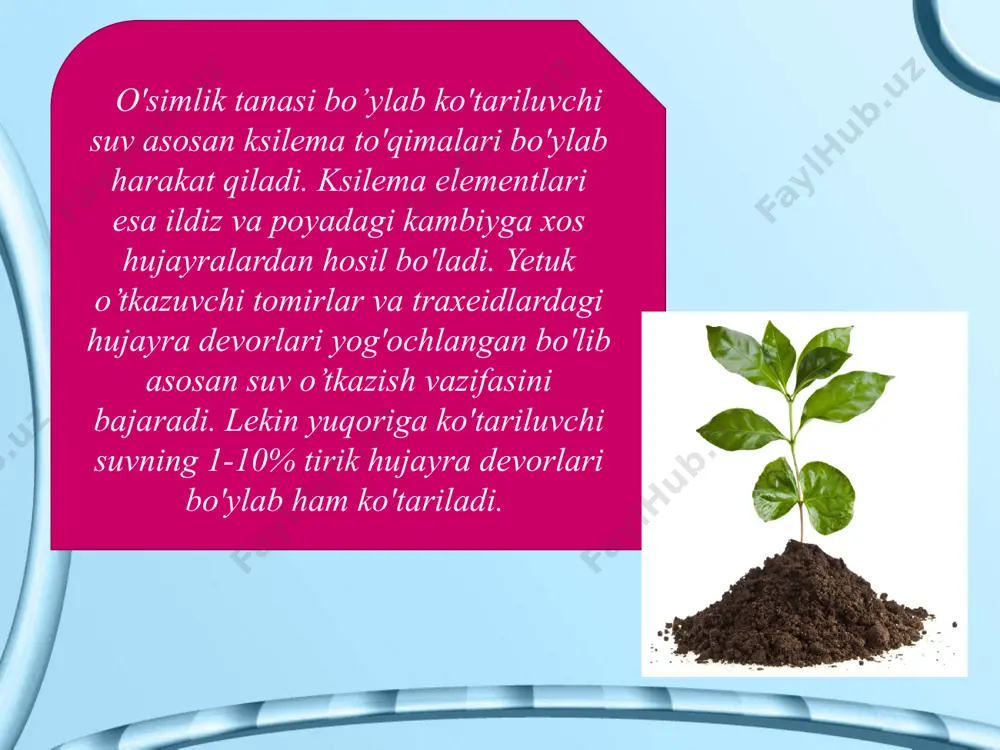 r oilasi vakillarida bahor va kuz oylarida yaqqol kuzatilishi mumkin. transpirasiya jadalligi. bu 1 m2 barg sathidan 1 soat davomida bug'latilgan suv grammlar hisobidagi miqdoridir. transpirasiya jadalligiga yorug'likning ta'siri anchagina kattadir. sun'iy sug'orish yuqori hosil olish garovidir. suv taqchilligi qanday bo'lishdan qa'tiy nazar u o'simliklardagi fiziologik jarayonlarga ta'sir etadi. sun'iy sug'orishni to'g'ri tashkil qilishda barcha ichki va tashqi omillar inobatga olinishi lozim hamda sug'orish soni, muddatlari va me'yorini aniq belgilash kerak. o'simliklarni sug’orishning fiziologik asoslari фойдаланиладиган адабиётлар: буригин в. а., жонгуразов ф. х. ботаника. тошкент, “ўқитувчи”, 1977. курсанов а. ва бошқалар. ботаника. тошкент ўрта ва олий мактаб давлат нашриёти. 1963. мустафаев с. м. ботаника. тошкент, “ўзбекистон”, 2002. саҳобиддинов с. с. ўсимликлар систематикаси. тошкент, “ўқитувчи”, 1976. image9.jpeg image10.jpeg image11.jpeg image12.jpeg image13.jpeg image14.jpeg image15.jpeg image16.jpeg image1.jpeg image2.jpeg image3.jpeg image4.jpeg image5.jpeg image6.jpeg image7.jpeg image8.jpeg