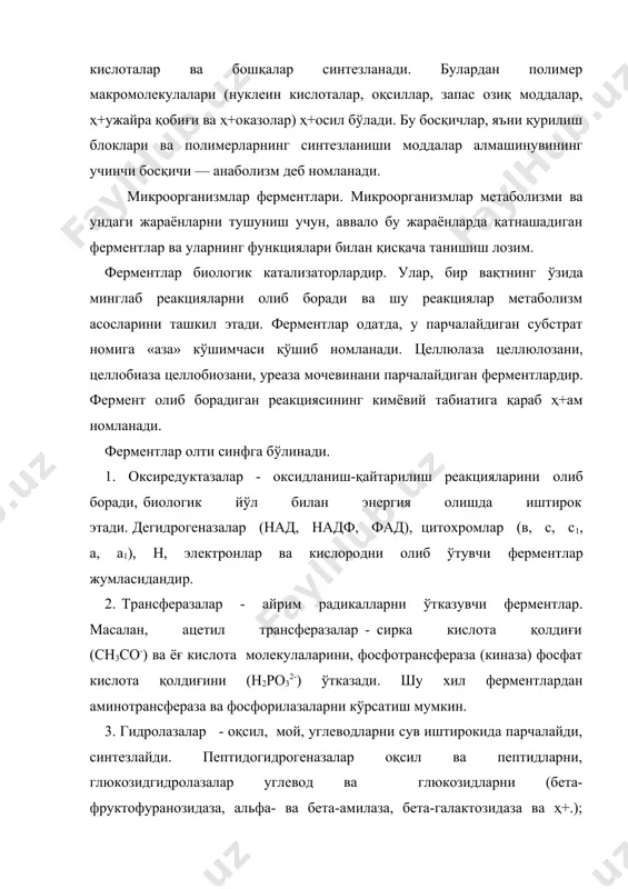 оқсил ва пептидларни, глюкозидгидролазалар углевод ва глюкозидларни (бета-фруктофуранозидаза, альфа- ва бета-амилаза, бета-галактозидаза ва ҳ+.); эстеразалар мураккаб эфирларни парчалайди ва ва синтезлайди (липазалар ва фосфатазалар). 4. лиазалар - субстратлардан кимёвий гуруҳ+лар радикалларини олиб қўш боғ ҳ+осил қилади ёки кимёвий гуруҳ+ларни радикалларини қўш боғларга улайди. м., пируватдекарбоксилаза пироузум кислотадан карбонат ангидридни ажратиб ташлайди: сн3сосоон ( сн3сон ҳ+ со2 пироузум сирка кислота альдегиди алдолаза ферменти ҳ+ам шу гуруҳ+га кириб олти углеродли фруктоза-1.6-дифосфатни икки уч углеродли бирикмага ажратади. 5. изомеразалар - органик моддаларни уларнинг изомерларига айлантиради. изомерланиш молекула ичидаги атомлар, радикаллар ва гуруҳ+ларнинг ўрнини ўзгартади. углеводлар, органик кислоталар ва аминокислоталарнинг изомерланишида қатнашади. бу ферментлар метаболизмда катта рол ўйнайди. уларга, триозафосфатизомераза, глюкозафосфатизомеразаларни мисол қилиб келтириш мумкин. 6. лигазалар - оддий моддалардан мураккаб моддаларни синтезлайди. масалан, аспарагинсинтетаза ферменти аспарагин кислота ва аммиакдан атф иштирокида аспарагин амидини, адф ва фосфат кислота ҳ+осил қилади. аспарагин кислотаҳ+ nh3 ҳ+ atф (аспарагин ҳ+ адф ҳ+ н3ро4 карбоксилаза эса со2 ни …