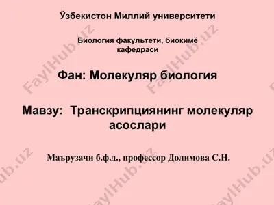 транскрипциянинг молекуляр асослари — PPT