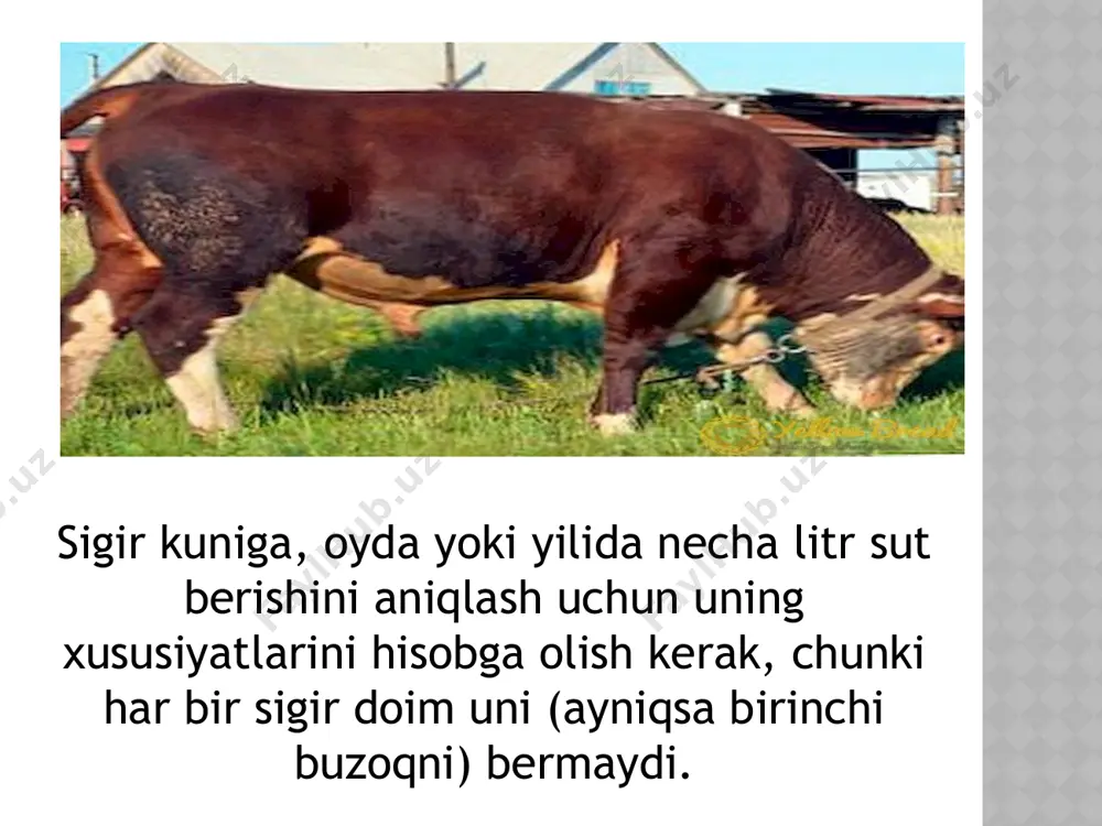 xar xil juftlashda sut mahsuldorligini irsiylanish koeffisiyenti - Page 5