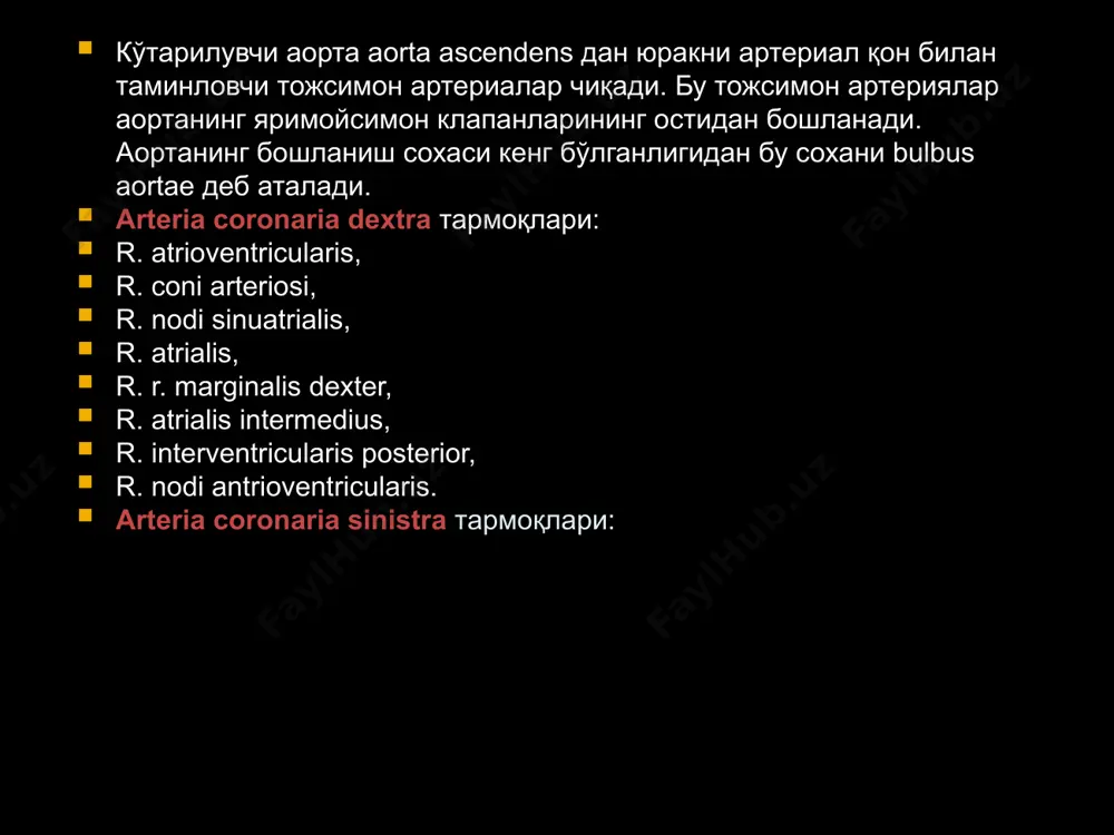 ади. плеврал бўшлиқни пункция қилиш ва дренирлаш: пневмоторакс, эмпиемаларда: а) торакоцентез (болаларда) – дренаж найни киритиш учун кўкрак деворининг юмшоқлиги имкон беради.; б) катталарда – қовурғани суяк усти пардаси остида резекция қилиб торакотомияни амалга ошириш орқали бажарилади. рувилуа-грегуар синамаси: агар пункцияда олинган қон ивиса — қон кетиши давом этаётган бўлади; агар плеврал бўшлиқдан олинган қон ивимаса, унда қон кетиши тўхтаган бўлади. минц операцияси (владимир минц, 1872-1945 йй.) бек триадаси: - гипотония, тахикардия, пародоксал пульс; - цианоз, бўйин веналари шишиши (гиповолемик синдром бўлмаганда); - юрак тонларининг сусайиши, катта юрак. перикардитлар, юрак тампонадасида: чап қовурға-ханжарсимон бурчакдан қорин ташқи қийшиқ мускулининг юқори чети бўйлаб юмшоқ тўқималар, сўнг vii қовурға тоғайи кесилади ва диафрагманинг қовурғага бирикиш жойи қорин пардадан ташқарида ажратилиб перикардга кириб борилади. перикардиотоимия, перикардэктомия. диафрагма ости абсцессини очиш. диафрагма ости абсцесслари локализацияси: юқори. олдинги-пастки. орқа-пастки. ўпка абсцесси: оператив даволаш: а) абсцессни бир лаҳзада очиш. б) абсцессни икки лаҳзада очиш. в) антибактериал препаратлар …
