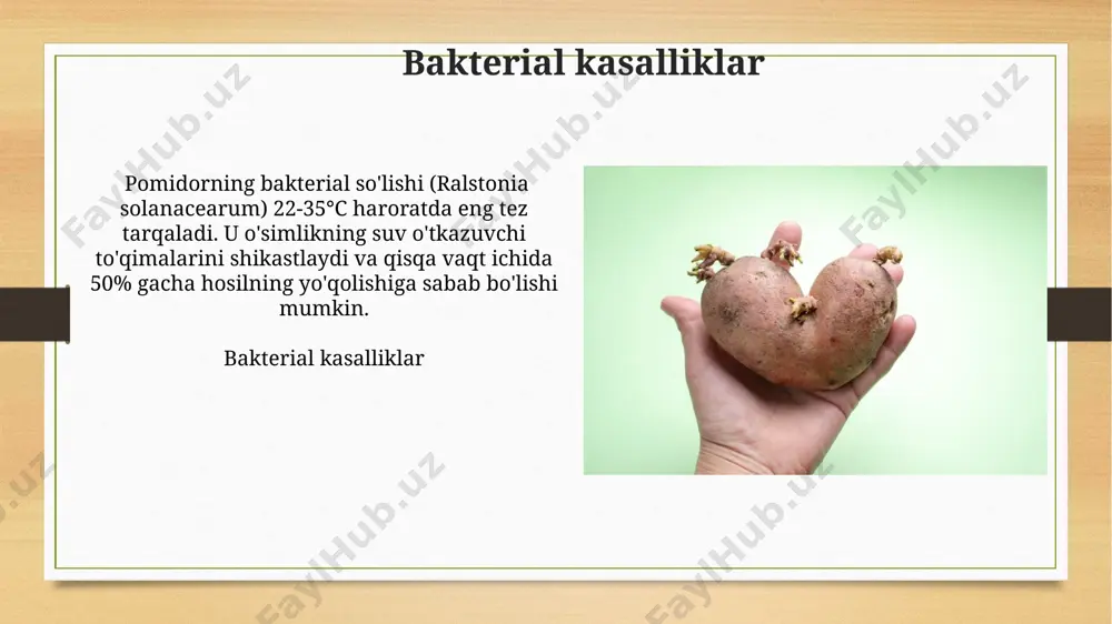 kartoshka va sabzavot ekinlarining kasalliklari - Page 4