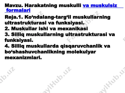 harakatning muskulli va muskulsiz formalari — PPTX