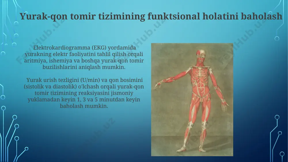 ’lchash orqali, tinch holatdagi va yuklama ostidagi ko’rsatkichlarni taqqoslash yo’li bilan nafas olish tizimining funktsional holatini baholash mumkin. e'tiboringiz uchun rahmat @taqdimot_robot image3.jpg image4.jpg image5.jpg image6.jpg image7.jpg image8.jpg image9.jpg image10.jpg image11.jpg image12.jpg image13.jpg image14.jpg image15.jpg image16.jpg image17.jpg image18.jpg image19.jpg image2.png