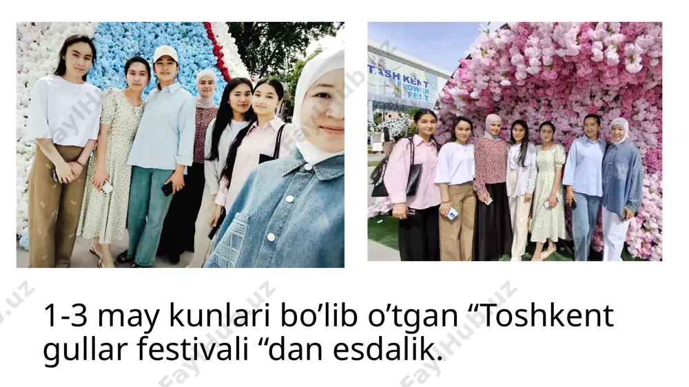 "ijtimoiy faollik indeksi bo'yicha tayyorlagan slayd" - Page 5