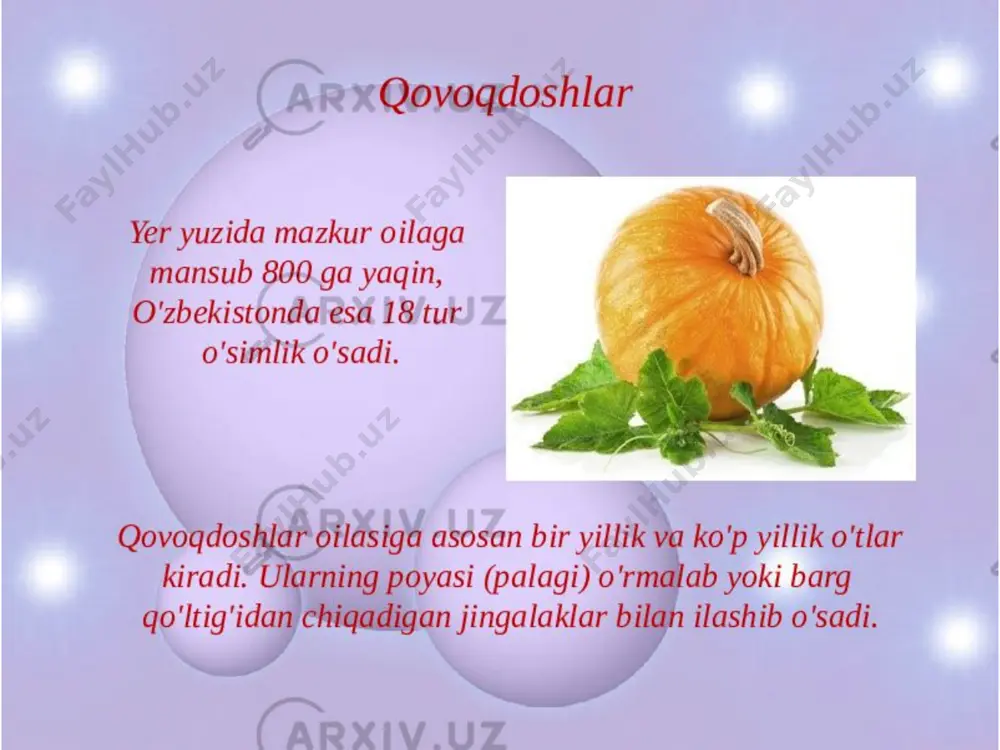 qovoqdoshlar oilasi - Page 4