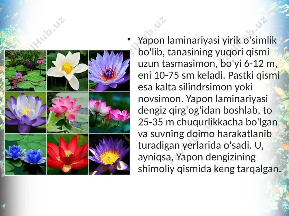 qo'ng'ir va qizil suvo'tlar bo'limlari. 6 - sinf - Page 5