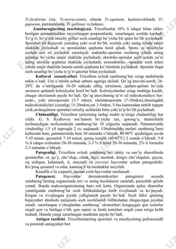 iglanishi bilan xarakterlanadi. ular organizmga kontakt-bir biriga tegish yo’li bilan kiradi. 1845 yilda qo’zg’atuvchilardan birini shved olimi m. malmsten ochdi va trichophyton deb atadi. hozirgi vaqtda trixofitonlarning qator turlari ma’lum. buzoq va qo’zilarda tr.faviforme (sin. tr.verrucosum), otlarda tr.equinum, kemiruvchilarda tr. gupseum, parrandalarda tr.gallinae va hokazo. zamburuglarning morfologiyasi. trixofitonlar 10% li ishqor bilan ishlov berilgan patmaterialdan tayyorlangan preparatlarda, zararlangan sochda topiladi. to’g’ri, bo’g’inli miseliy giflari soch uzunligi bo’yicha bir qator bo’lib joylashadi. sporalari bir hujayrali yumaloq yoki oval bo’lib, sochda yoki uning ichida zanjir shaklida joylashadi va sporalardan qoplama hosil qiladi. spora va miseliylar sochda uch xil joylashib zararlaydi: endotriks-sporalar sochning ichida uning uzunligi bo’yicha zanjir shaklida joylashadi; ektotriks-sporalar soch ustida ya’ni uning atrofida qoplama shaklida joylashadi; neoendotriks –sporalar soch tolasi ichida zanjir shaklida hamda ustida qoplama ko’rinishida joylashadi. sporalar faqat soch uzunligi bo’yicha to’g’ri qatorlar bilan joylashadi. kultural xususiyatlari. trixofiton avlodi zamburug’lari oziqa muhitlarda sekin o’sadi. uni o’stirish uchun saburo …