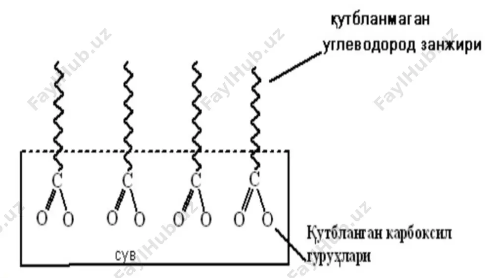 липидлар ва уларнинг алмашинуви - Page 5