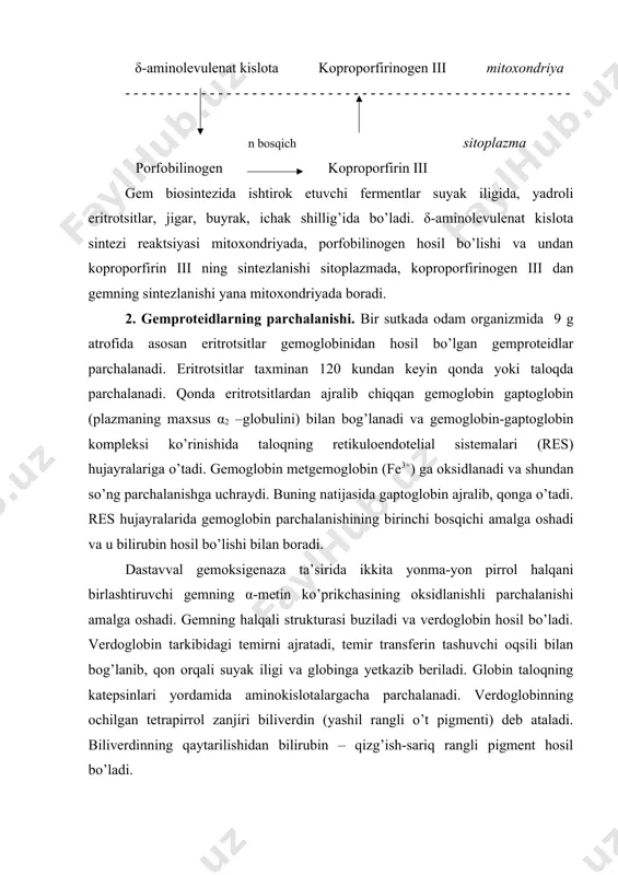 o’tganda plazma oqsili albumin oqsili bilan bog’lanadi. albumin-bilirubin kompleksi o’t pigmentining muhim normal transport shakli hisoblanadi. u albumindan ajralib, lipofil modda sifatida jigar hujayralarining membranasi orqali oson kira oladi. jigar hujayralari ichida gemproteidlar almashinuvining ikkinchi bosqichi amalga oshadi. jigarda bilirubinning kon’yugirlangan shakli – bilirubinglyukuronidlar hosil bo’ladi. udf-glyukuron kislota glyukuron kislotaning donori vazifasini bajaradi. reaktsiya udf-glyukuronoziltransferaza bilan katalizlanadi. natijada bilirubinmonoglyukuronid (20%) va bilirubindiglyukuronid (80%) hosil bo’ladi. bilirubinglyukuronidlar – suvda yaxshi eriydigan birikmalar. bilirubinglyukuronid juda kam miqdorda qon tomiri kapillyarlariga o’tishi mumkin. shu sababdan qon plazmasida bilirubinning ikki xil shakli: kon’yugirlanmagan (bilvosita yoki erkin) va kon’yugirlangan (bevosita yoki bog’langan) uchraydi. qon plazmasidagi umumiy bilirubinning 75% erkin va 25% bog’langan bilirubinga to’g’ri keladi. bilirubinglyukuronidlar o’t bilan birgalikda ichakka tushadi va u yerda gemproteidlarning yakunlovchi 3-bosqichi amalga oshadi. o’t yo’llarida glyukuron kislota bilirubinglyukuronidlardan ajraladi va yana qaytadan kon’yugirlanmagan (erkin) bilirubin hosil bo’ladi. ingichka ichakda bilirubinning ozroq qismi so’rilishi va qopqa vena orqali yana qaytadan …