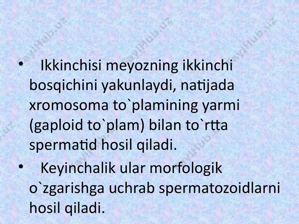 spermatogenez bosqichlari va mexanizmi - Page 5