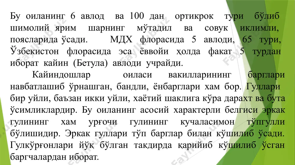 шанда, помир-олойда, жуғрофия олатовида учрайди. у нихоятда гўзал дарахт бўлганлигидан кўкаламзорлаштириш учун аҳоли яшаш жойларидаги паркларга ва кўчаларга экиш тавсия этилади. ок кайин биринчи катталикдаги дарахт бўлиб, баландлиги 24-28 метргача ўсади. асосий танаси оқ рангда бўлиб, жуда манзарали кўринишга эга. оқ қайин эрта ҳосилга киради, очиқ ерларда 10-15 ёшларида, қайинзор ўрмонида 20-30 ёшларида ҳосилга киради. қайин уруғларининг унувчанлиги юқори - 80%. қайин ёғочидан олий сифатли фанер тайёрланади. бу қайин тури россия ўрмонларида кенг тарқалган ва асосий ўрмон ҳосил қилувчи дарахт турларидан бири хисобланади. кўкаламзорлаштиришда аҳамияти жуда юқори, оқ танаси ва чиройлн барглари манзарали хисобланади. дарахт танасидан қайин шарбати олинади. булардан ташқари туркумда даур қайини момиқ қайин, эрман қайини каби муҳим турлари бор. шимолий америкада қоғоз қайини кенг тарқалган. барча қайин турлари манзарали дарахтлар хисобланадилар ва кўкаламзорлаштиришда кенг фойдаланилади. ўрмон хўжалигида хам қимматли дарахт турларидан бири ҳисобланади. бу авлод вакиллари дараxт ва буталар бўлиб, гуллари айрим жинсли, бир уйли. куздан бошлаб …