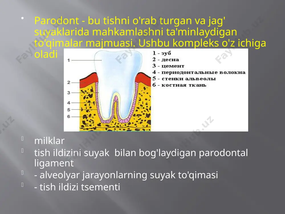 huqurligi; ko'p ildizli tishlarning ildizlari ajralish suyagi to'g'rilanish holati; tishlarning harakatchanligi; tishlarning bo'yinlari hududida milkni atrofiyasi; tish blyashka mavjudligi; milkni cho'ntaklarida yallig'lanish va qon ketishining mavjudligi; parodontal indekslar indekslar yordamida milkdagi yallig'lanish o'zgarishlarining mavjudligi va intensivligi, alveolyar jarayonning suyak to'qimasini yo'q qilish darajasi aniqlanadi. parodontal to'qimalarning holatini papillyar-marginal-alveolyar indeks (pma) yordamida hisobga olish mumkin. pma indeksi faqat parodontdagi dastlabki o'zgarishlarni baholashga imkon beradi, shuning uchun u gingivit indeksi deb ataladi. yallig'lanish quyidagicha baholanadi: gingival papillaning yallig'lanishi - 1 ball; marginal gingival chetining yallig'lanishi - 2 ball; alveolyar milklarning yallig'lanishi - 3 ball. milkning holati har bir tish uchun baholanadi. pma indeksining raqamli qiymati - mavjud tishlarning chekka parodonti holatining ko'rsatkichlari yig'indisi har doim butun son sifatida ifodalanadi. gingivit indeksi = ballar yig'indisi • 100/3 • tishlar soni bu erda 3 - yig'indining eng yuqori balli (har bir tish uchun marginal parodontning holati uchun barcha eng yuqori balllarni yig'ish orqali olinadi). …