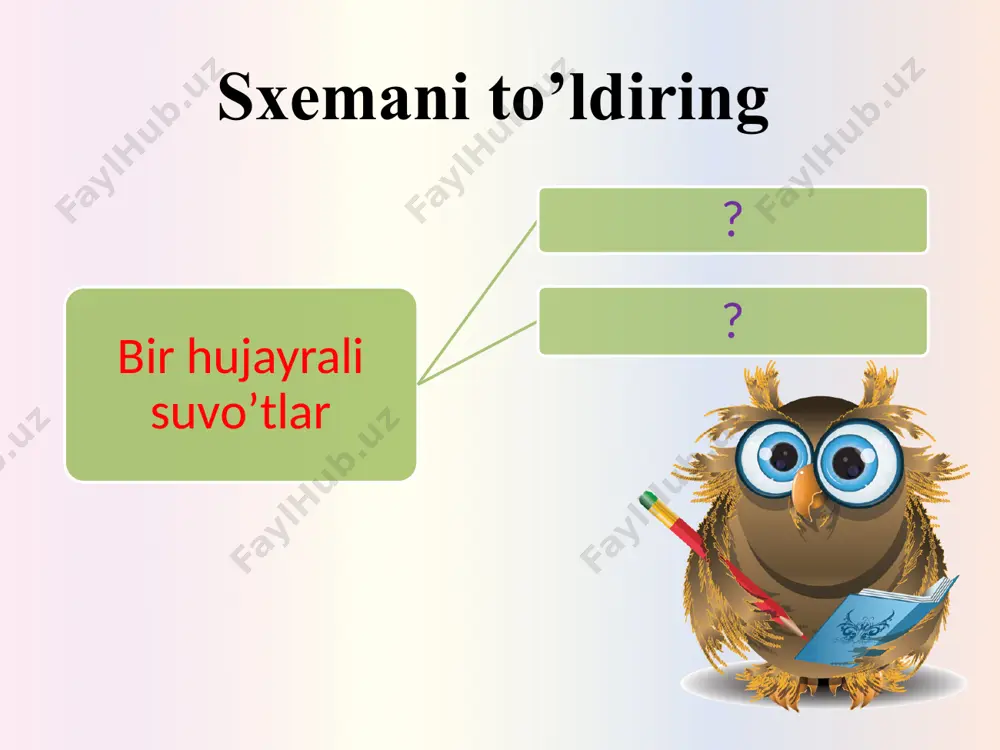 "yuksak o’simliklar" taqdimoti - Page 5