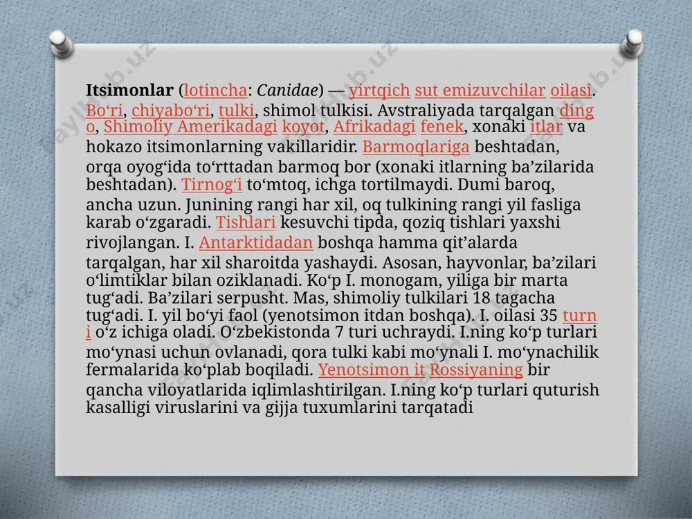 sh boʻrilar har xil mayda kemiruvchilarni tutib yeya boshlaydi. sent.da kattalari b-n birgalashib, uy hayvonlarini va yovvoyi hayvonlarni ov qilishga oʻrganadi. noyab.ga qadar 10—15 ta buri gala boʻlib yuradi oʻlja topish qiyin boʻlib qolganda bitta yoki ikkitadan boʻlib, tarqalib ketadi. erkagi 2 yoshida, urgʻochisi 2—3 yoshida voyaga yetadi. b. 15—16 yil yashaydi. yilda ikki marta — bahor va kuzda tullaydi. b. kuchli, chidamli va chaqqon, hid bilish va eshitish organlari yaxshi rivojlangan hayvon. goʻsht b-n oziqlanadi, baʼzan olma, qovun, tarvuz kabi mevalarni ham yeydi. asosan, uy hayvonlari va yovvoyi hayvonlar, quyon, yumronqoziq kabi kemiruvchilar, qushlar, hatto oʻlimtiklar b-n oziqlanadi. b. juda ochkoʻz va xoʻra, ikkitasi bitta qoʻyni yeb qoʻyishi mumkin. podaga hujum qilganda koʻp qoʻyni nobud qiladi. bir nechta b. birgalikda yoki tuda boʻlib ov qiladi. quturgan va ochiqqan boʻrilar odamga ham hujum qilishi mumkin. b.ning 12 ta kenja turi bor. oʻrta osiyoning choʻl, dasht va past togʻlarida choʻl boʻrisi …