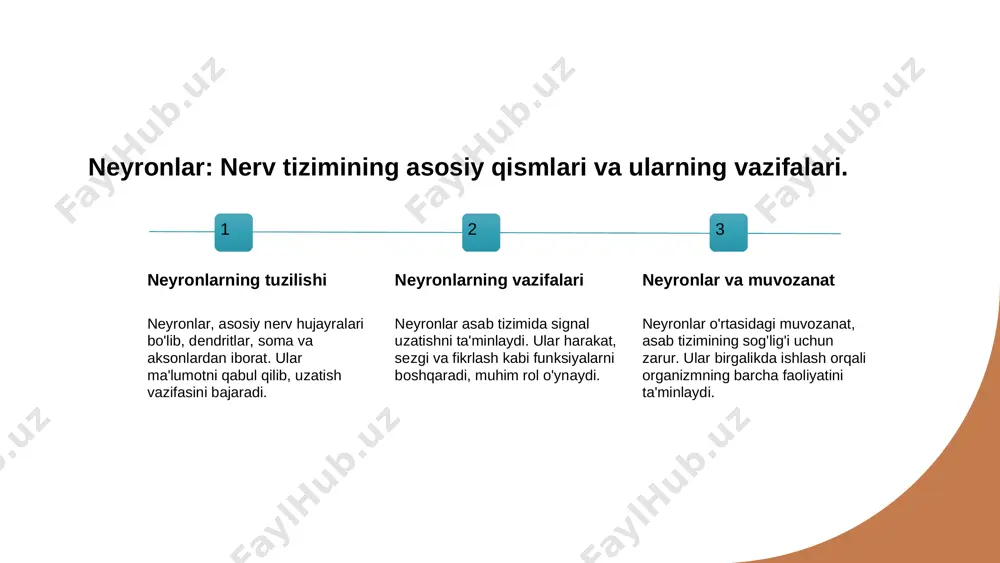 ar biri neyronlarga turli yordam va himoya taqdim etadi. glial hujayralar neyronlarni himoya qilishda muhim rol o'ynaydi, zararlanishlardan va infektsiyalardan saqlaydi, shuningdek, neyronlar o'rtasida aloqa o'rnatishga yordam beradi. glial hujayralar, ayniqsa astrotsitlar, neyronlarga energiya ta'minlashda muhimdir. ular glikozani neyronlarga yetkazib berish orqali ularning faoliyatini qo'llab-quvvatlaydi. xulosa 1 neyronlar va glial neyronlar va glial hujayralar nerv tizimining asosiy qismlari bo'lib, ularning o'zaro aloqalari va funksiyalari muhim ahamiyatga ega. 2 ularning vazifalari neyronlar ma'lumotlarni qayta ishlash va uzatish bilan shug'ullanadi, glial hujayralar esa ularni qo'llab-quvvatlaydi va himoya qiladi, bu esa tizimning yaxlitligini ta'minlaydi. 3 o'zaro aloqalar neyronlar va glial hujayralar o'rtasidagi sinaptik aloqalar, signal uzatish jarayonida ahamiyatli rol o'ynaydi va ularning hamkorligi nerv tizimining to'g'ri ishlashini ta'minlaydi. e'tiboringiz uchun rahmat!