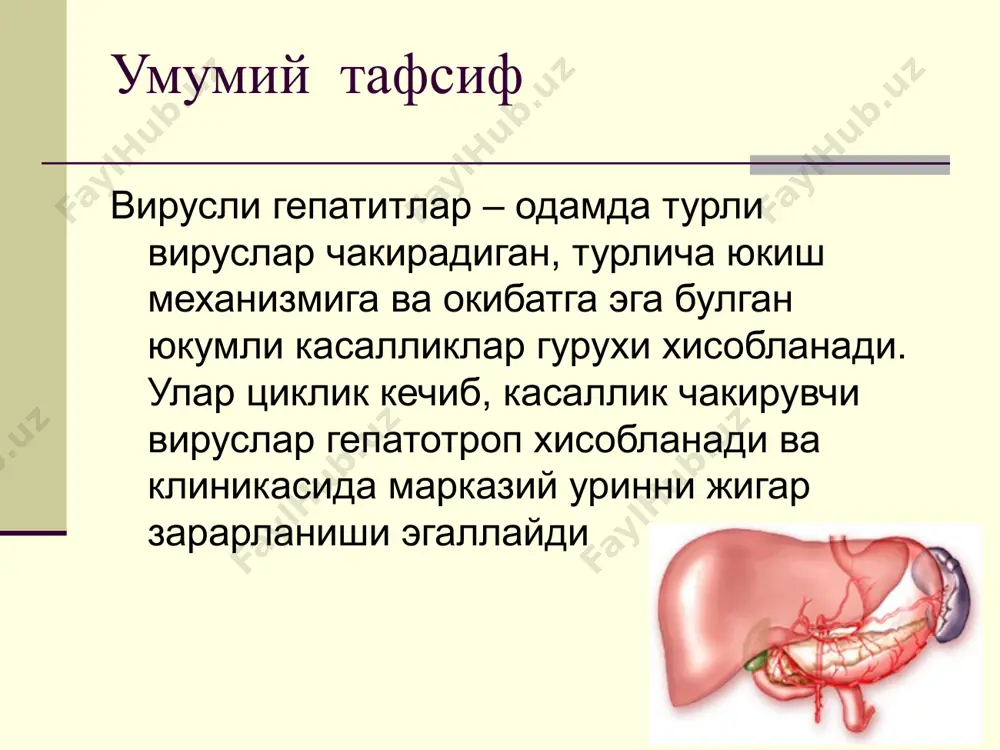 вирусли гепатитлар - Page 2